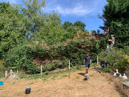 Rabotage de haies trop grandes | Garden Keepers