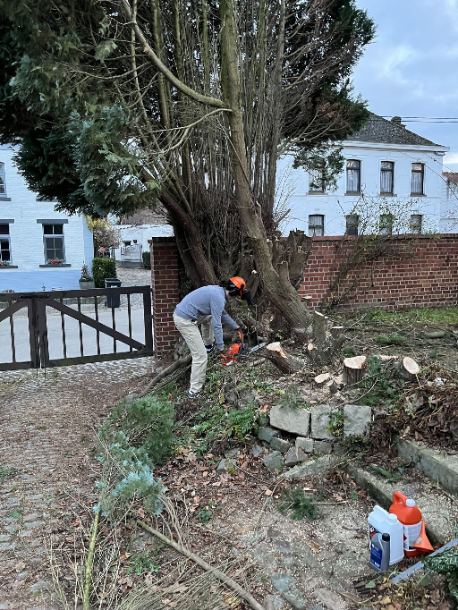 Abattage de petits arbres | Garden Keepers